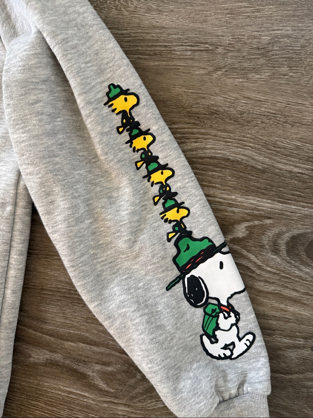Peanuts adult M Gray Hooded Sweatshirt with Green Snoopy & Woodstock graphic - Picture 3 of 8
